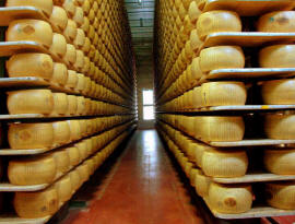 PARMIGIANO